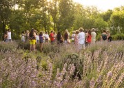 Tres experiencias imperdibles para disfrutar la primavera en las sierras