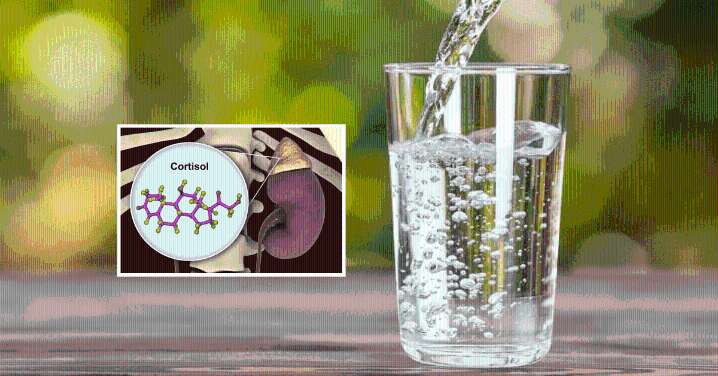 ¿Bebes poca agua? Estudio revela que la deshidratación eleva el cortisol y aumenta el estrés