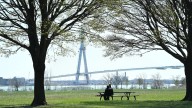 Colder temps in forecast for Detroit, says weather service