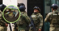 Golpe de 6 millones de pesos al narco, Marina desmantela narcolaboratorios en Durango