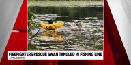 Firefighters rescue swan tangled in fishing line