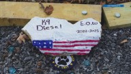 Chattanooga's K9 Diesel dies after SWAT operation injuries