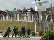 ONG acusa a Cuba de someter a unos 60 mil presos a trabajos forzosos