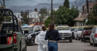 Homicidios en México: septiembre registra el día con menos asesinatos en 7 años; cifras por estados