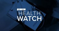 AI-powered rehab program brings cognitive therapy to Montana patients
