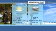 All street art removed across Tampa Bay, more top stories from the week and fun things to do this weekend