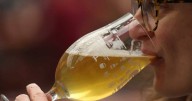 Drinking any amount of alcohol may raise dementia risk
