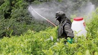 Plaguicidas apenas prohibidos en México provocan cáncer, neurotoxicidad y males congénitos