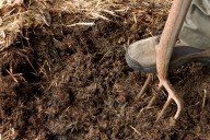 Murphy signs bill making New Jersey the latest state to legalize human composting
