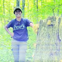 Popular golden oyster mushrooms now invading Michigan forests
