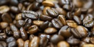 El café global rompe los US$427 por libra en septiembre, pero el grano de Villa Rica se oscurece bajo la amenaza de calor extremo