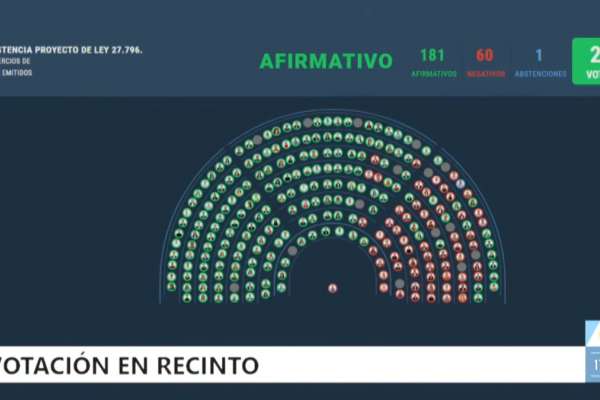 Martín Menem discutió con gobernadores aliados que se negaron a votar contra universidades y Garrahan