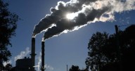 Officials disclose fresh detail on 2035 climate target
