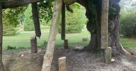Aberdeenshire vandals slammed for 'endangering children' after cutting park treehouse beams