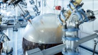 This Black Fungus Turns Plastic Waste Into Edible Ingredients