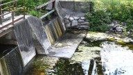 Lack of rain leaves area lakes at low levels