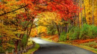 These states will be greeted with fall foliage this weekend