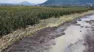 Lluvias afectan a 3 mil productores en el Estado de México
