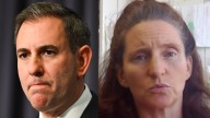 Economist ridicules Treasurer Jim Chalmers’ defence of net zero labelling it 'anti