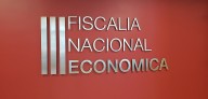 FNE acusa colusión en mercado de la centolla: siete empresas coordinaban precios en Magallanes desde 2012