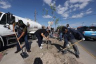 Plantan 55 árboles en la avenida Ejército Nacional
