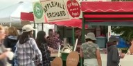 Ely’s fall festival recognized in top 10 fall festivals across the US for third consecutive year