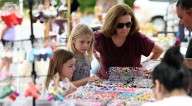 Lake Barrington Pepper Road Fall Fest draws over 30 vendors