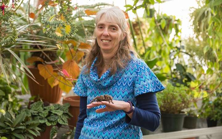 Tarantulas don’t scare this Michigan professor. She is spending her nights among them.