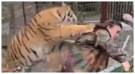 Tigre en cautiverio toma a una mujer por la espalda y causa pánico en Mazamitla, Jalisco (VIDEO)