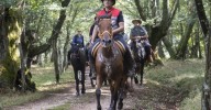 Manzaneda acogerá una ruta a caballo el domingo
