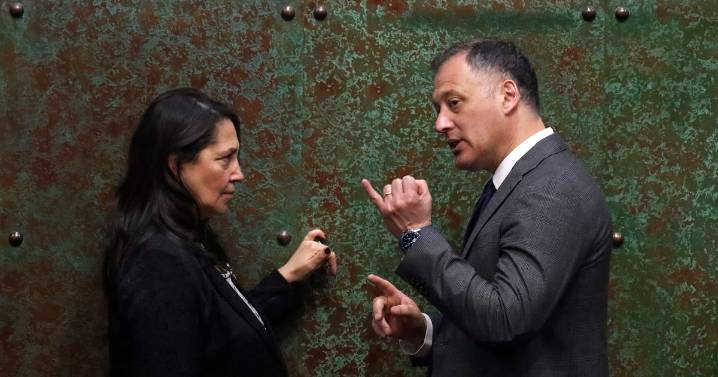 Oposición adopta un brusco frenazo a proyectos de gobierno en represalia por rechazo a multa por voto obligatorio