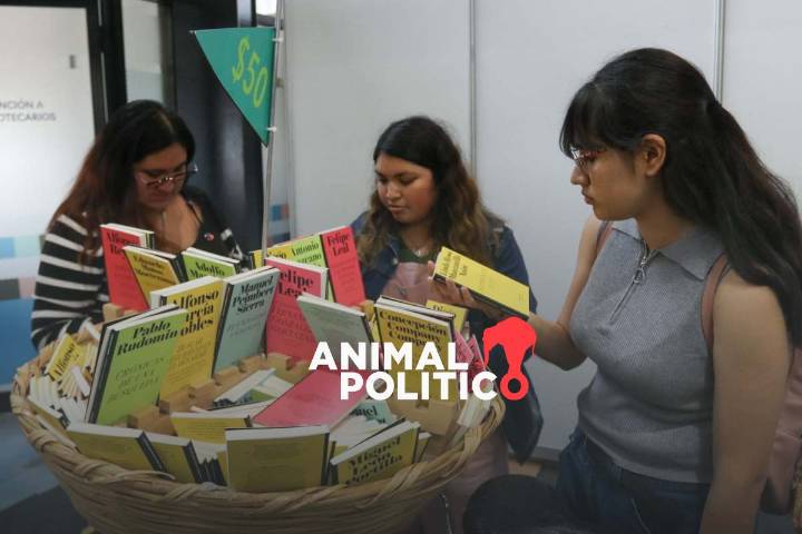 Una de cada tres mexicanas jóvenes no tiene autonomía económica; urge disminuir carga de labores