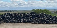Iowa man faces felonies for allegedly dumping hundreds of tires in ditches