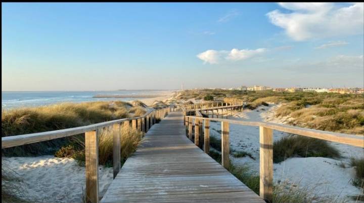 Cómo encontrar propiedades en venta en la Costa Atlántica según tu objetivo