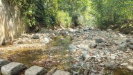 Crisis por bajo caudal en el río Meléndez: Emcali y líderes comunitarios verificaron en terreno cómo se ha secado el afluente