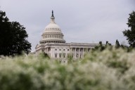 Democratic-led US Senate resolution seeks recognition of Palestinian state