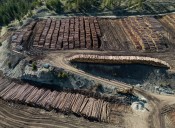 Canada drops 2 appeals of U.S. anti-dumping duties on softwood lumber