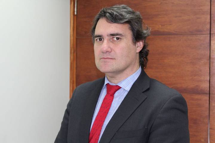 Fiscalía formaliza investigación por caso de maltrato animal denunciado en Puerto Aysén