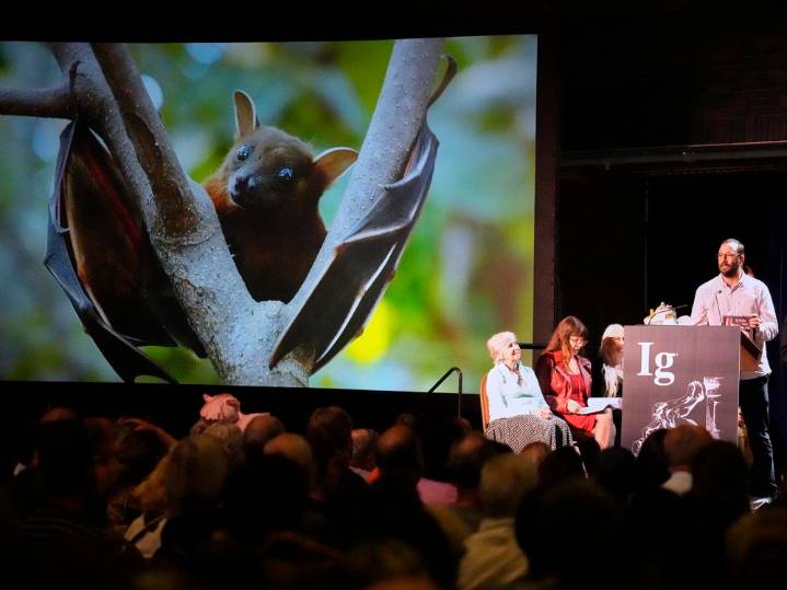 Ten Ig Noble prizes awarded, most for research involving food, alcohol