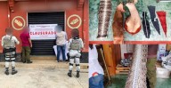 Clausuran huarachería en Yalálag por vender productos con piel piel de especies protegidas