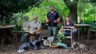 Ingenieros, mecánicos o informáticos reconvertidos en agricultores: «Fue la llamada de la selva, pero rural»