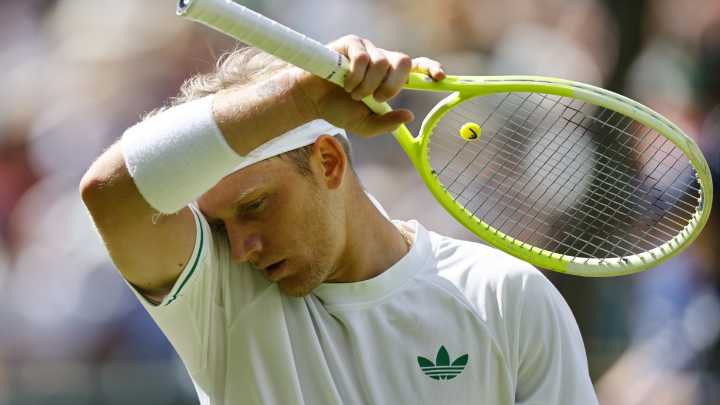 Davidovich ve más lejos Turín y Medvedev se reengancha en la pelea