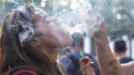 Study links marijuana use in IVF treatment to risk of embryo errors