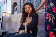Más de 100 gatitos reciben esterilización gratuita gracias a un café con causa en Tijuana