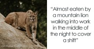67 Stories From People Who Escaped Death By Pure Luck
