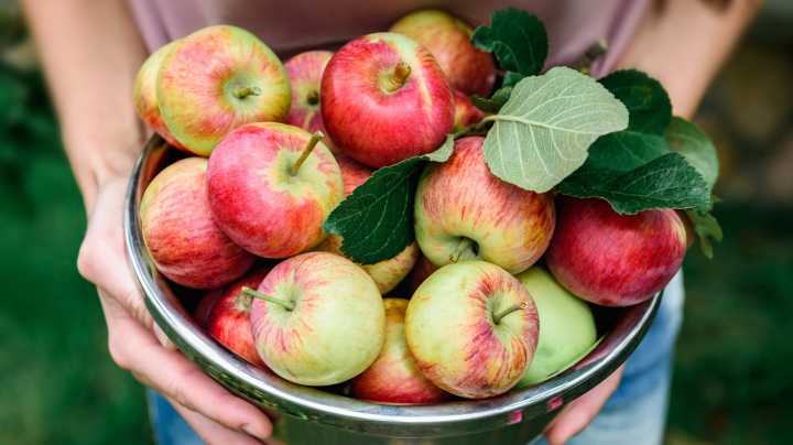 Avoid The Fruit Bowl, This Is The Best Place To Store Apples To Keep Them Fresh