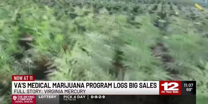 Virginia’s medical marijuana program logs big sales, but patient concerns linger