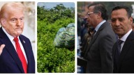 Pedro Sánchez, ministro de Defensa, hace llamado para evitar que EE. UU. descertifique a Colombia en lucha contra el narcotráfico
