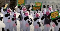 Ben & Jerry Built the Brand. Magnum’s IPO Ignores That at Its Peril.