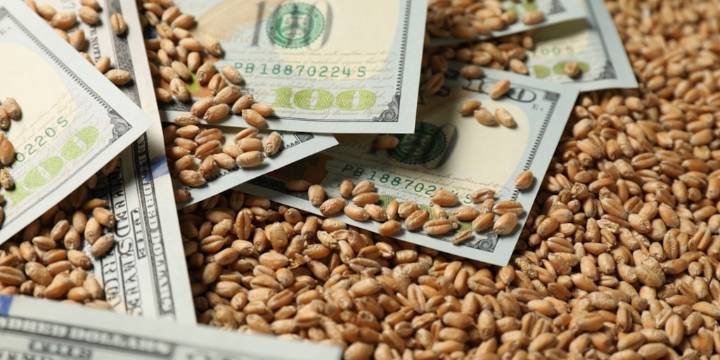 Retenciones 0% al campo: cómo funcionará la eliminación temporal de los derechos de exportación para granos y carnes